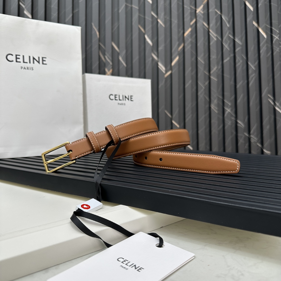 CELINEセリーヌ 個人輸入コピー牛革 ビジネス 激安品 プレゼント ゴールドバックル ブラウン_5