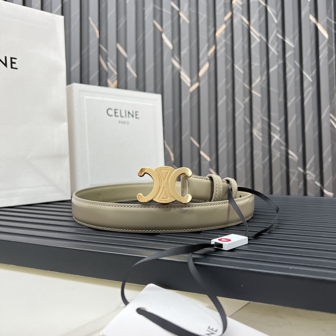 CELINEセリーヌ ベルトバッグ ナノ激安通販 牛革 ビジネス 激安品 ゴールドバックル グレイ_2