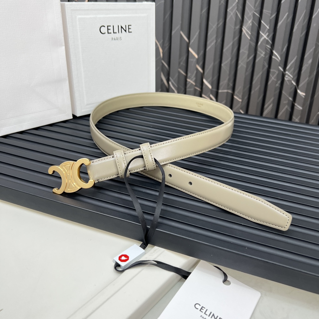 CELINEセリーヌ ベルトバッグ ナノ激安通販 牛革 ビジネス 激安品 ゴールドバックル グレイ_4