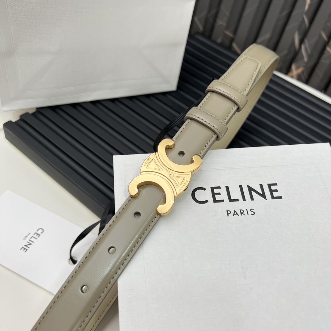 CELINEセリーヌ ベルトバッグ ナノ激安通販 牛革 ビジネス 激安品 ゴールドバックル グレイ_6