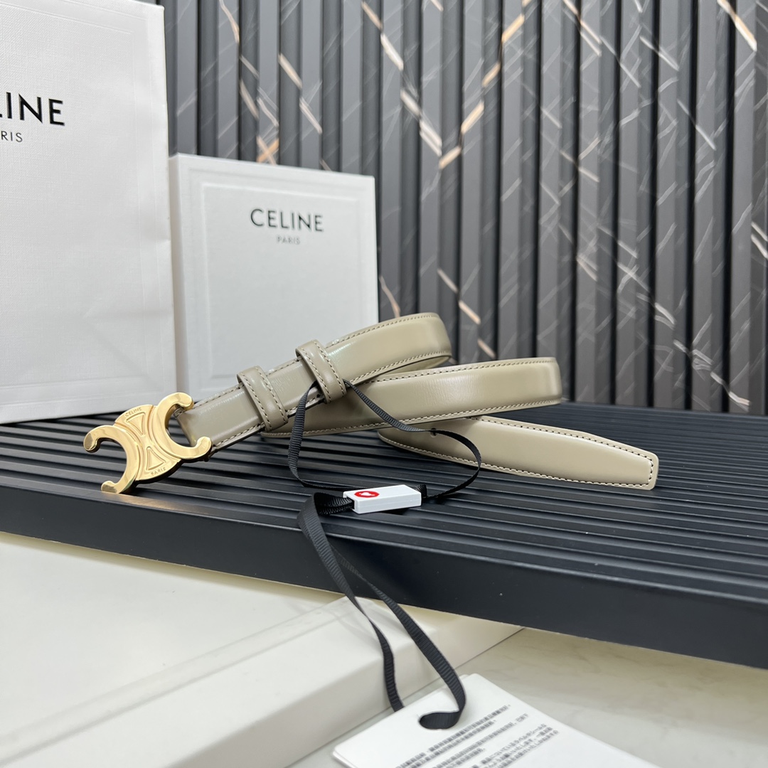 CELINEセリーヌ ベルトバッグ ナノ激安通販 牛革 ビジネス 激安品 ゴールドバックル グレイ_8